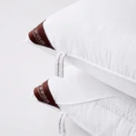 Healthy Neck Pillow 3