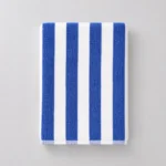 Standard Blue Stripe Beach Towel 02